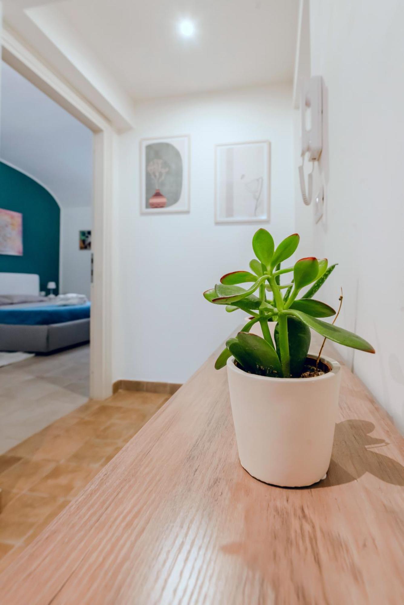 Helios Suites Testaccio - Center Of ローマ エクステリア 写真